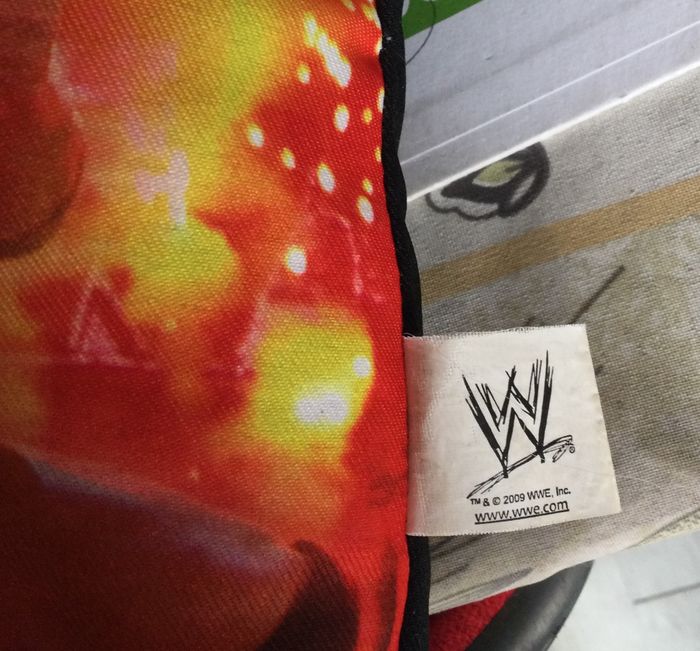 coussin WWE - photo numéro 3