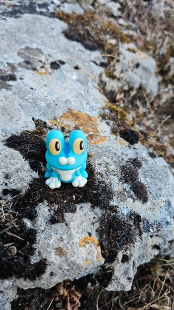 Super figurine Pokemon Nintendo finger puppet Grenousse