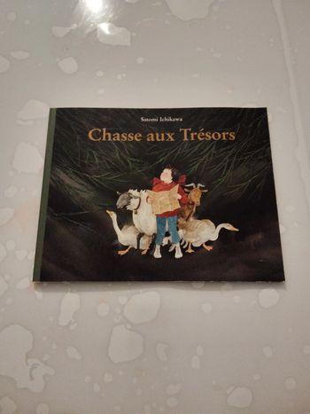 Livre Chasse aux Trésors