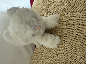 Doudou Peluche chat blanc BOULGOM