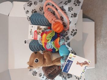 Lot jouets  anti ennui et occupation pour chiens de petites à moyennes tailles 