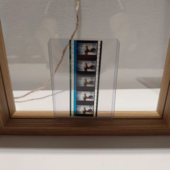 Pellicule démon slayer rengoku