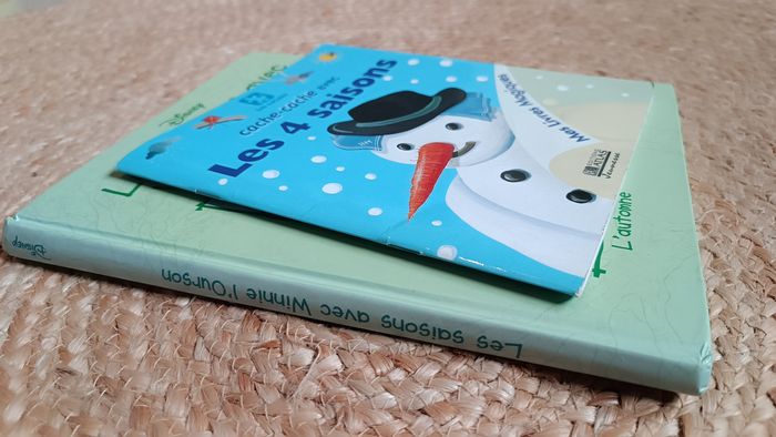 Lot de 2 livres éducatifs sur les saisons - photo numéro 4