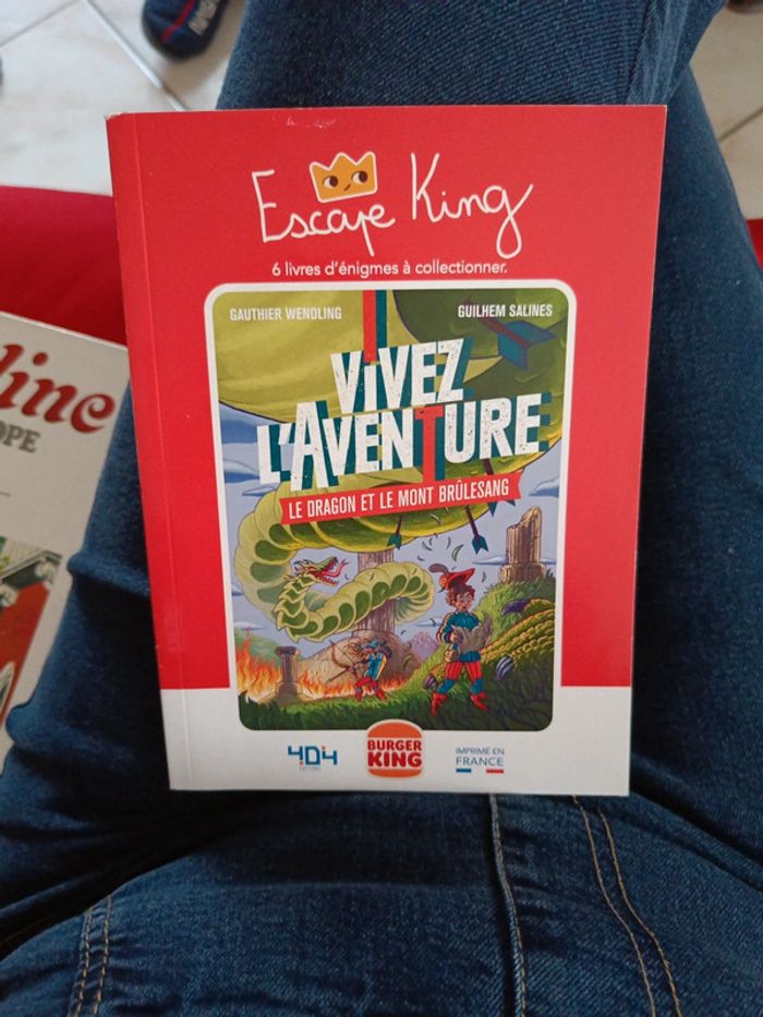 Livre énigme Le dragon et le mont brûle sang