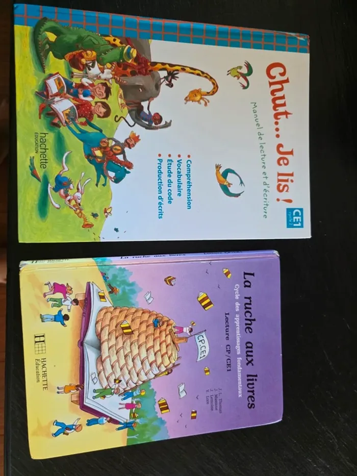 Lot livres ce1 la ruche aux livres et chute je lis