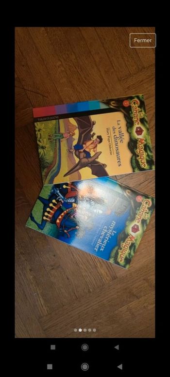 Lot 2 livres cabanes magiques 1 et 2