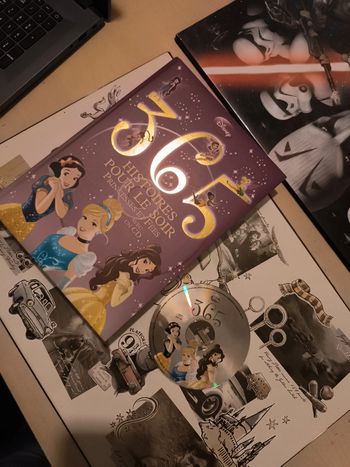 365 histoires pour le soir. Princesses et fées . Avec un cd