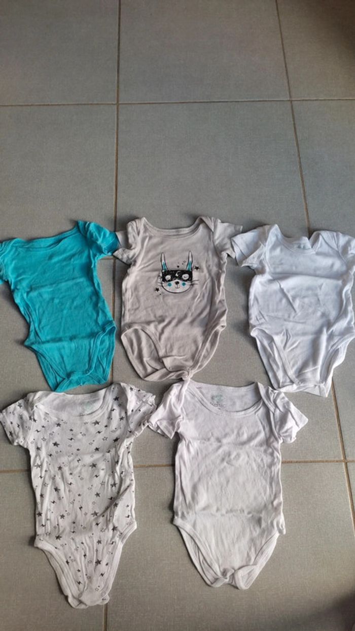 Lot de 5 bodys Tex Baby T.12 M