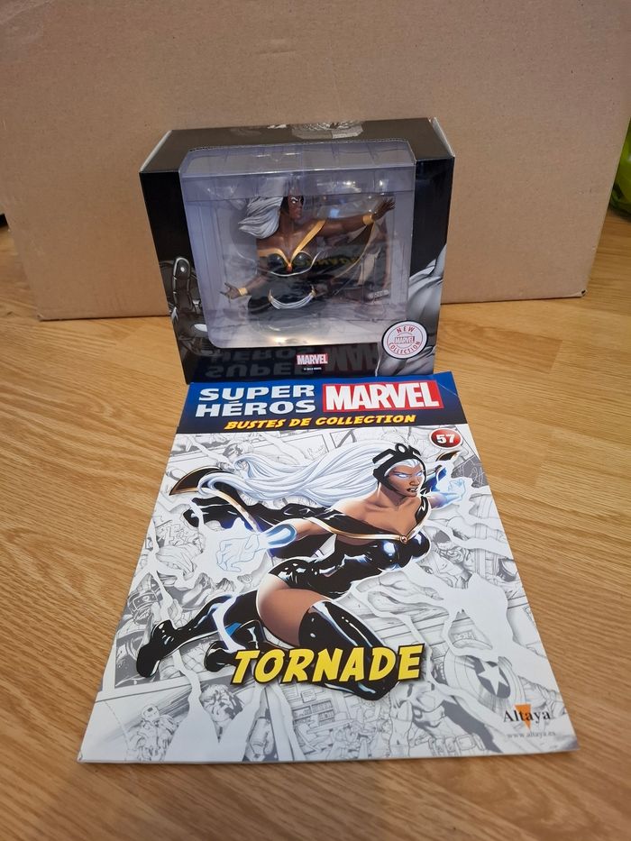 Buste Tornade - photo numéro 4