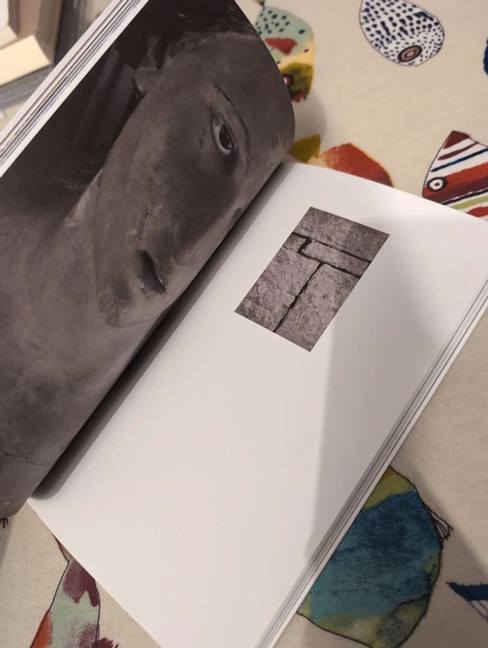 Giuseppe Caccavale - photo numéro 4