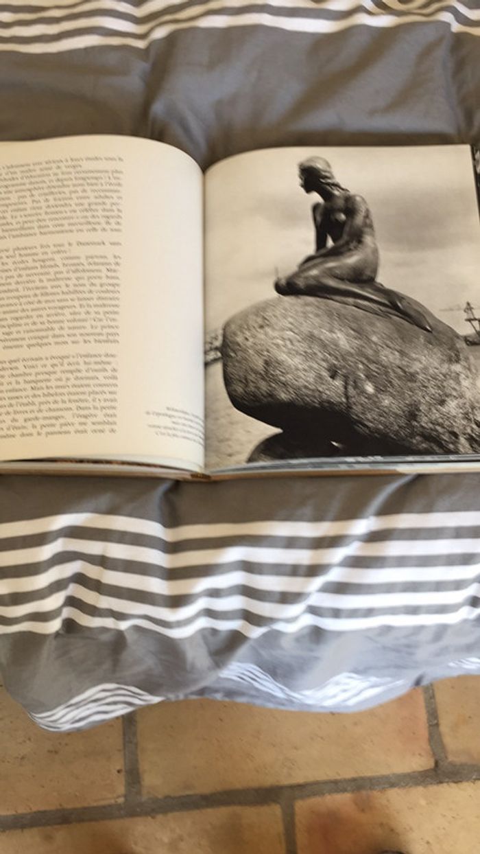 La Scandinavie - photo numéro 4