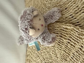 Doudou Chat Moulin Roty - Collection les Pachats - Mini modèle