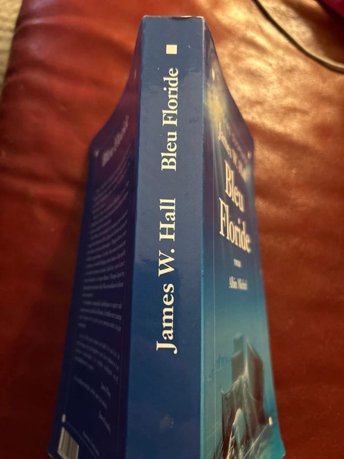 Bleu floride - photo numéro 3