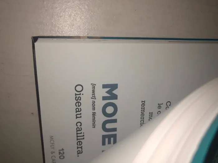 le dictionnaire moderne mcfly et carlito - photo numéro 3