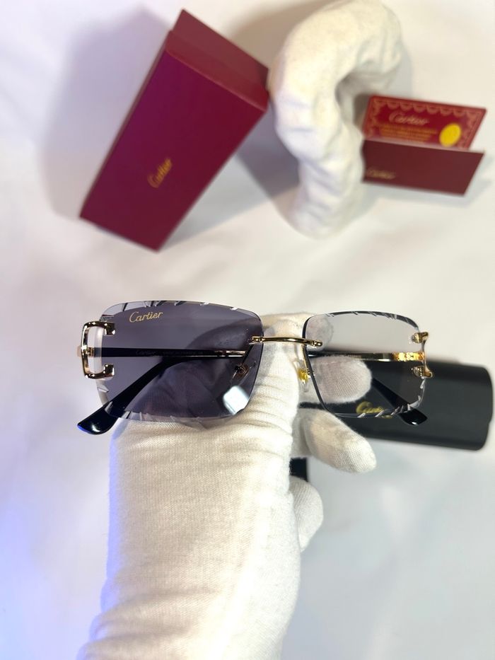 Lunette 4 saisons Cartier ❄️🍂🍃☀️ - photo numéro 2