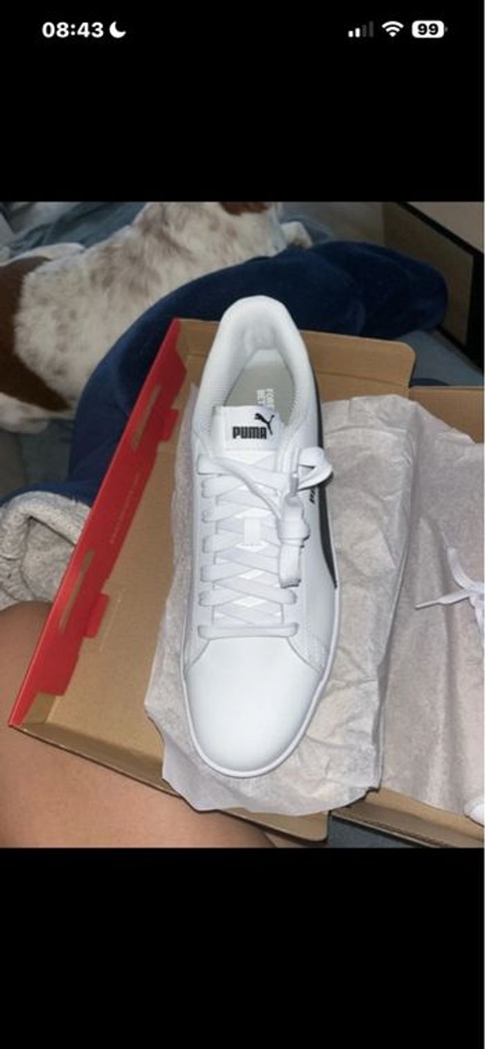 Chaussure homme - photo numéro 4