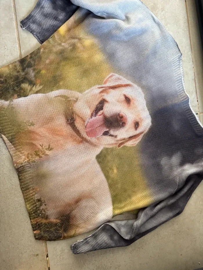 Pull imprimé chien Labrador - Taille L - photo numéro 2