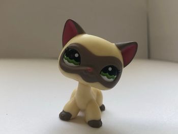 Littlest pet shop authentique chat #1116