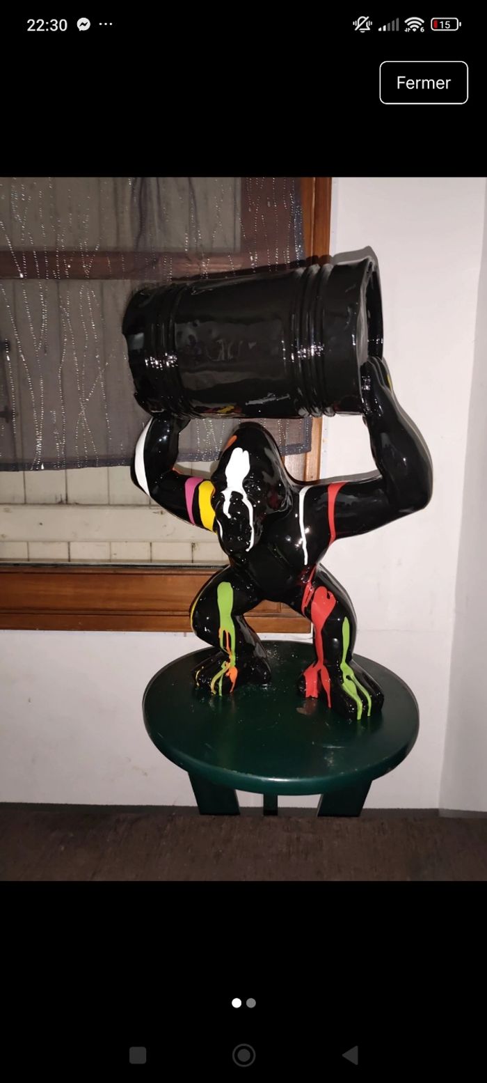 Un magnifique gorille