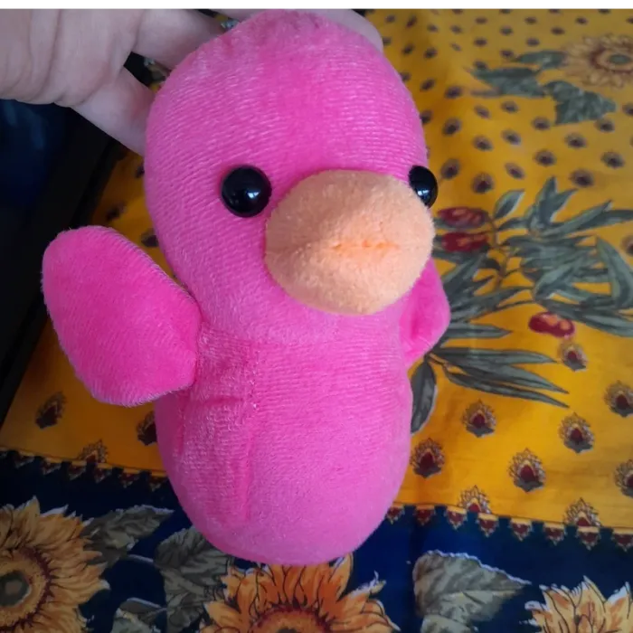 peluche