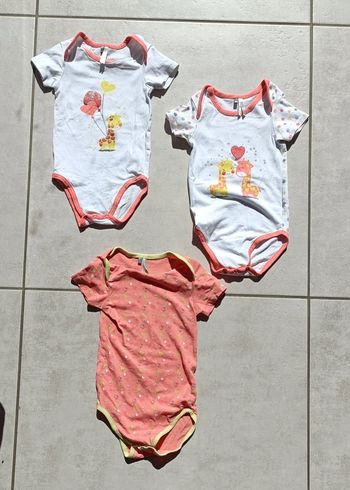 Lot de 3 bodies manches courtes - 24 mois