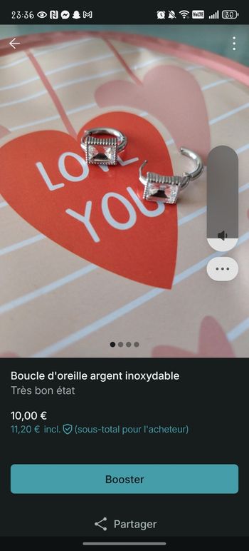 Boucle d'oreille en acier inoxydable argenté 