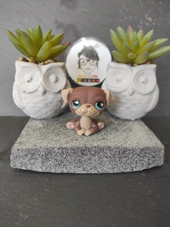 My Littlest Petshop  Pet Shop LPS dog chien carlin 889 #geektradelpschien