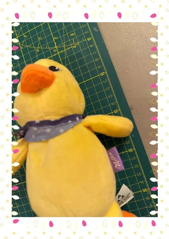 Canard milka - photo numéro 3