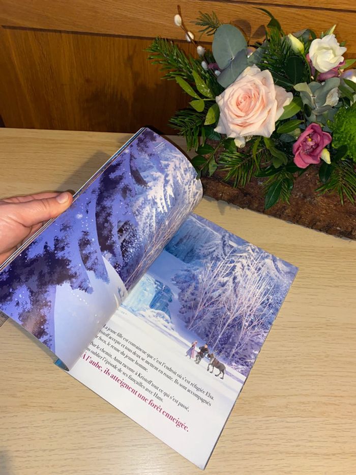 Livre album film Disney hachette 2020 princesse reine neiges elsa Anna - photo numéro 8