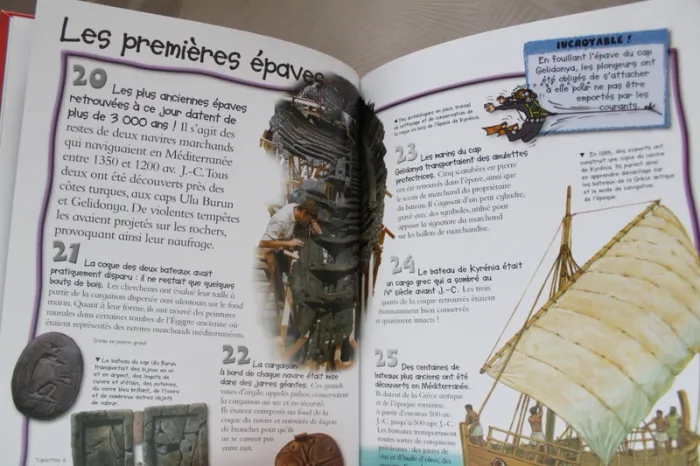 Livre les Naufrages - photo numéro 2