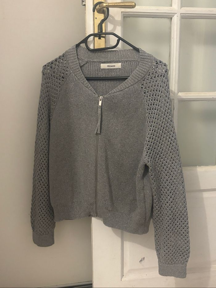 Gilet gris pailletée