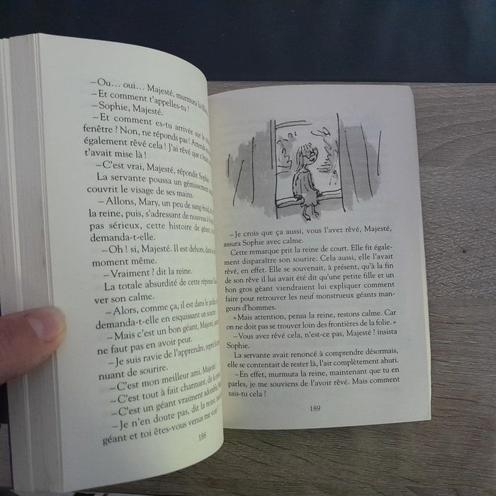 roman Roald Dahl - le BGG le bon gros géant - photo numéro 4