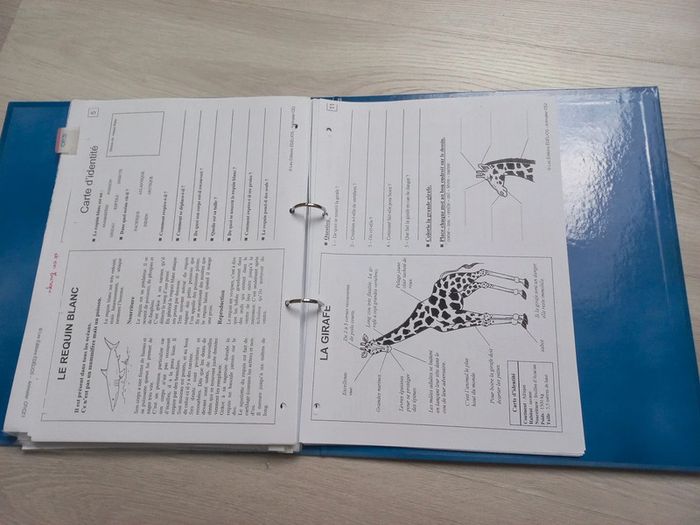 Classeur lecture documentaire cp /ce1 animalier - photo numéro 8