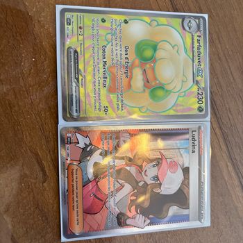 Lot 2 cartes Pokémon foudre noire et flamme blanche
