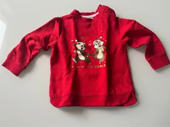 Pull noël