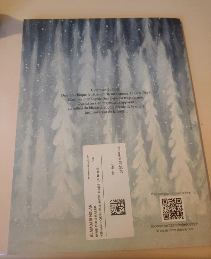 Quelque part dans la neige - photo numéro 2