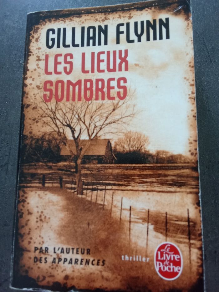Gillian Flynn Les lieux sombres - photo numéro 1