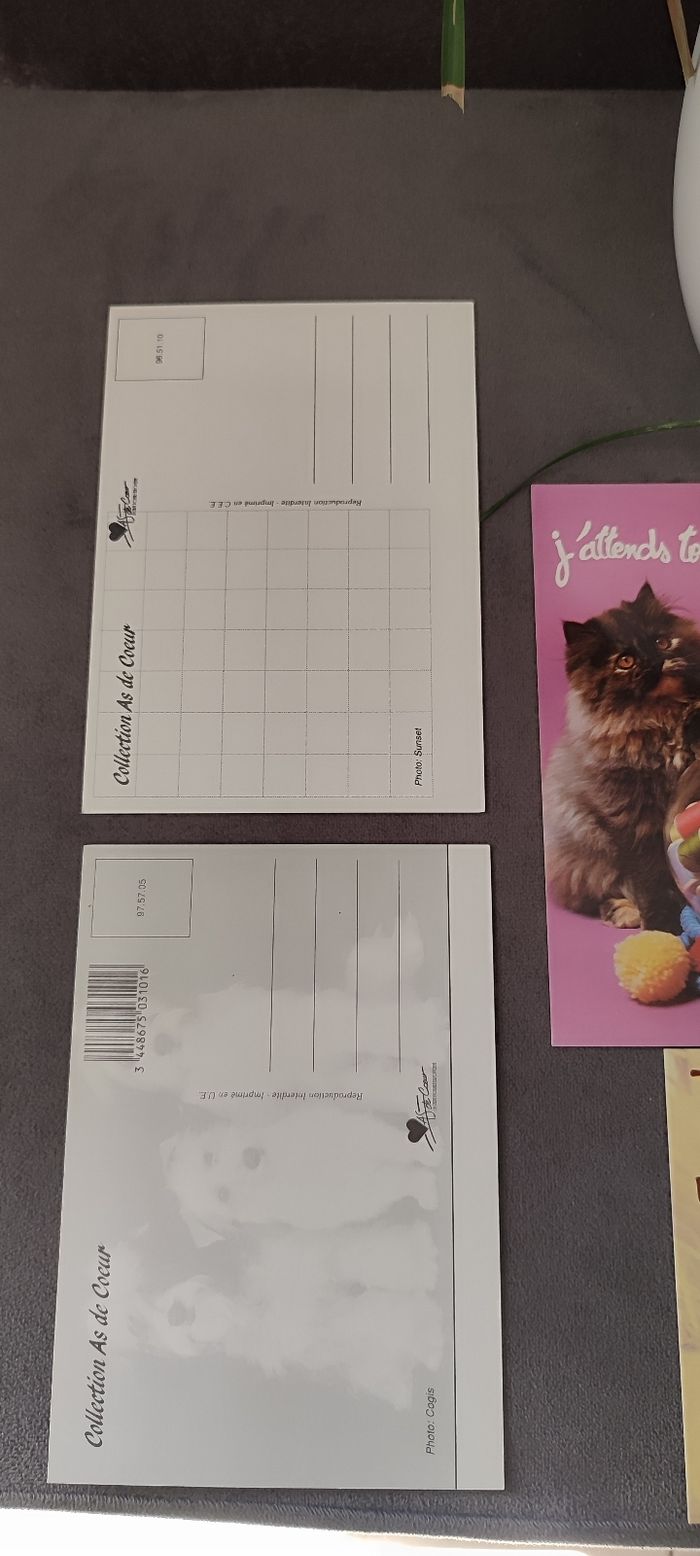 Lot de 5 cartes postales animaux - photo numéro 4