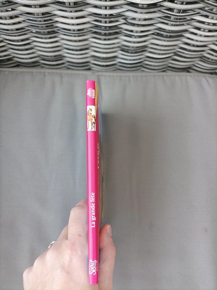 Livre Spirit neuf - photo numéro 2