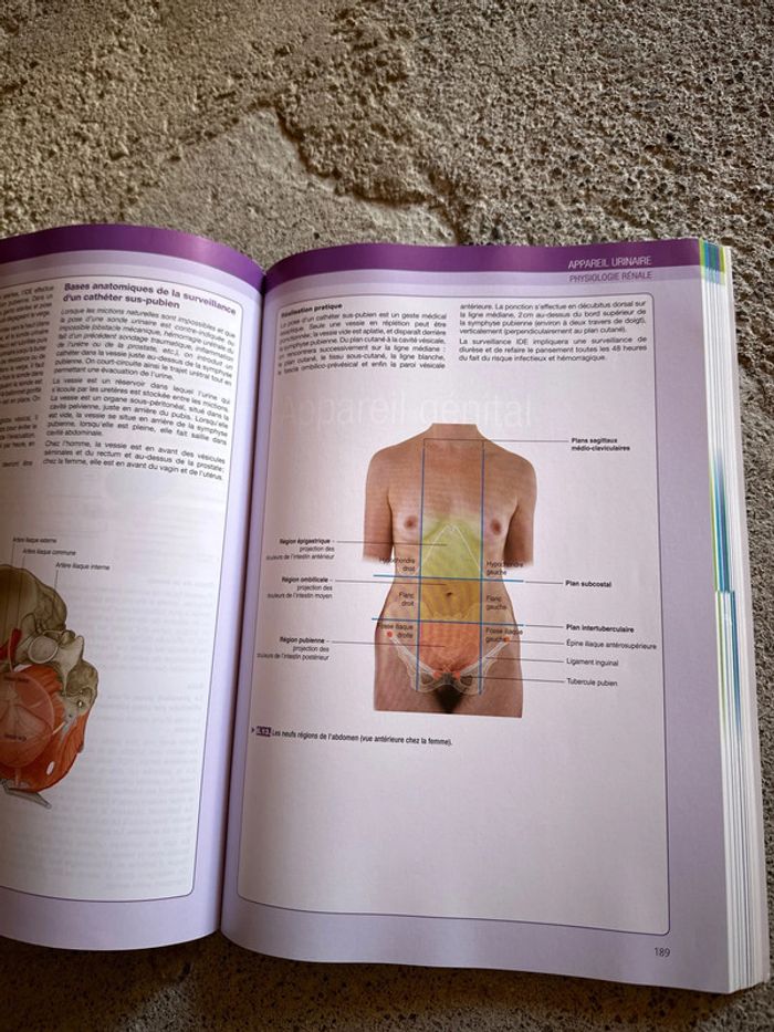 L’anatomie et la physiologie pour les infirmier(e)s - photo numéro 7
