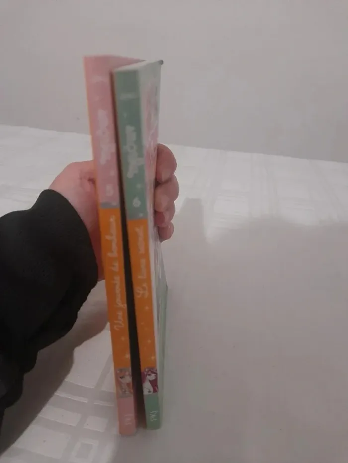 Lot de 2 livres melowy à partir de 7ans - photo numéro 3