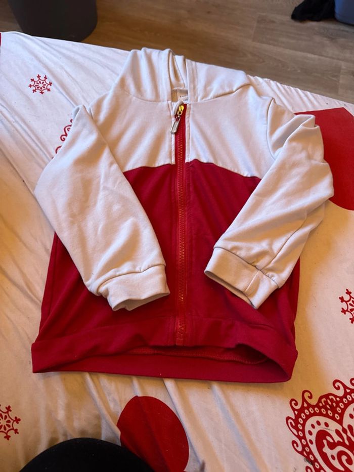 Veste