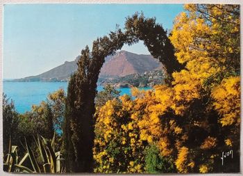 CPM paysage printanier (Alpes maritimes)