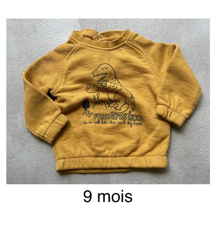 Pull taille 9 mois