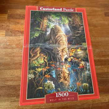 Puzzle castorland 1500 pièces wolf in the wild