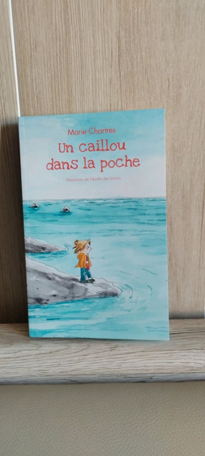 Un caillou dans la poche