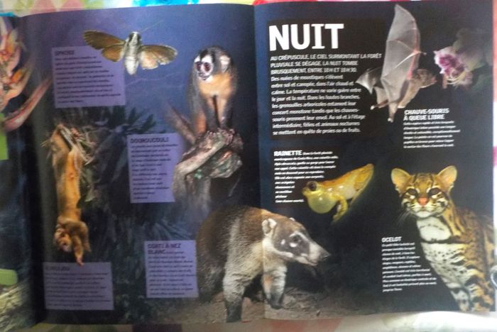 LES FORETS PLUVIALES Ed. Sélection du Reader's Digest - photo numéro 6