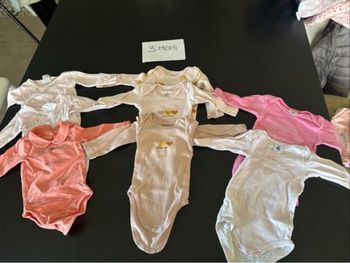 Bodies