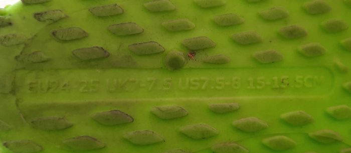 Chausson décathlon - photo numéro 4