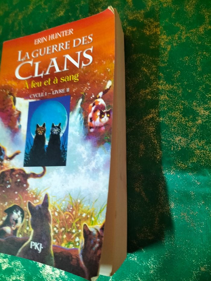 La guerre des clans tome 2 - photo numéro 4